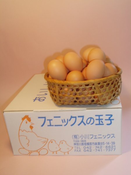 画像1: 鳳凰卵　８０個 (1)