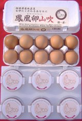 賞味11/10]平飼いたまご使用特濃温泉たまご【極み】|有機野菜