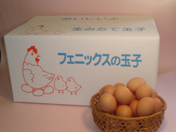 画像1: 鳳凰卵　１０ｋｇ (1)